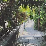 Mypalmassuite With Free Parking In *
